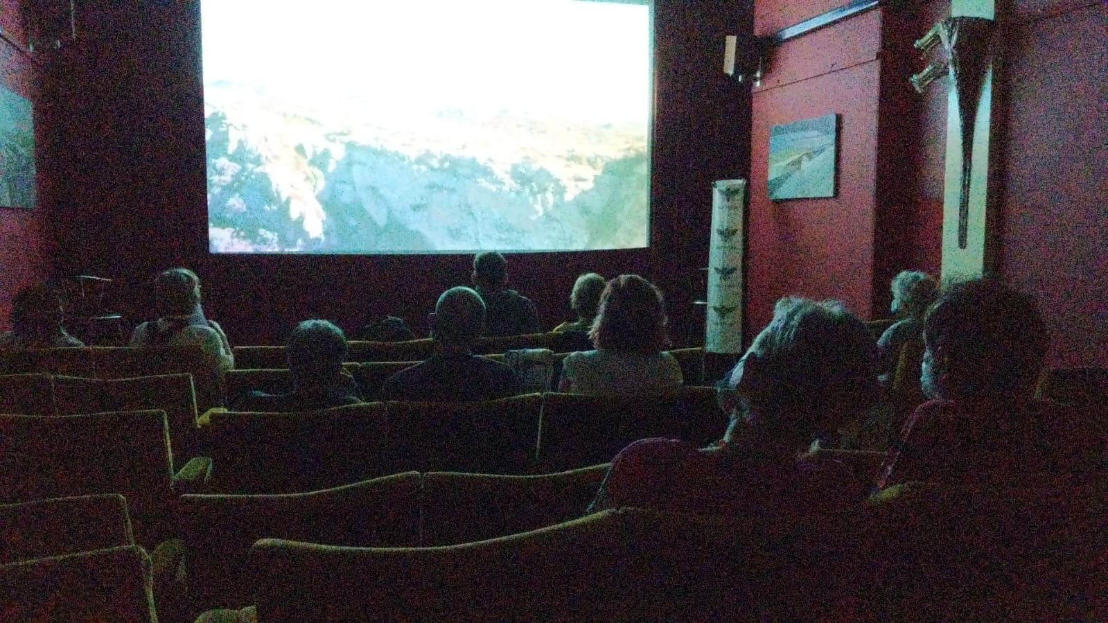 Cinema screening in action during reopening week